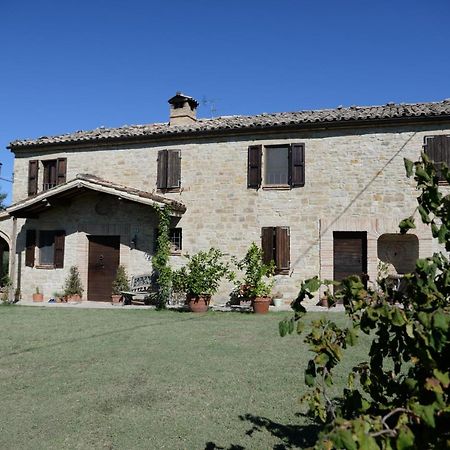 Cascinale La Mimosa Bed & Breakfast Cupramontana ภายนอก รูปภาพ