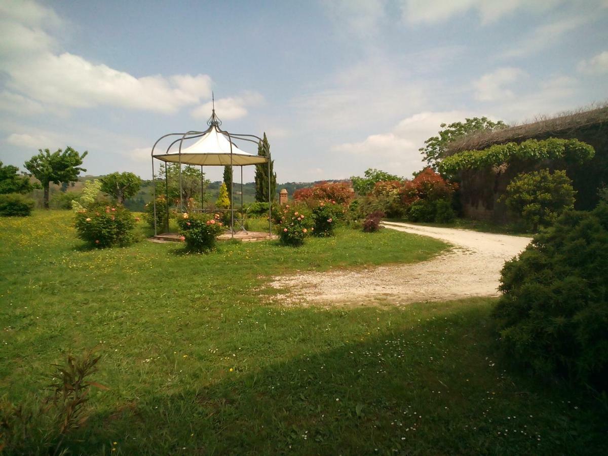 Cascinale La Mimosa Bed & Breakfast Cupramontana ภายนอก รูปภาพ